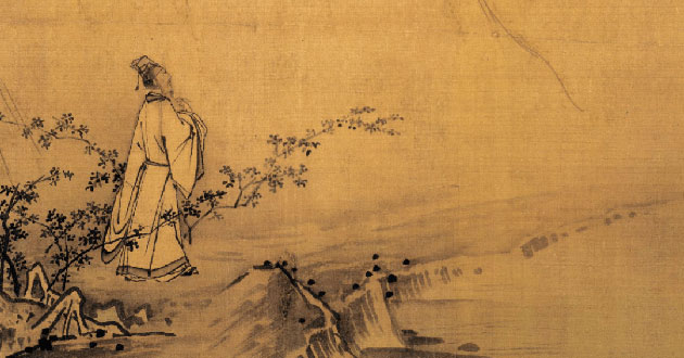 霸王花的意思，霸王花的功效和作用